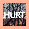 Birthpush - Hurt - Single